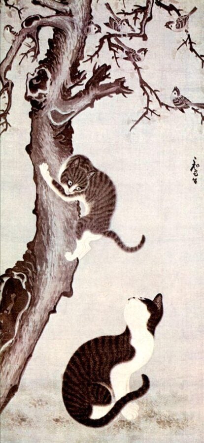 Two cats—one climbing a gnarled tree, one crouched below—watch magpies perched on bare branches.