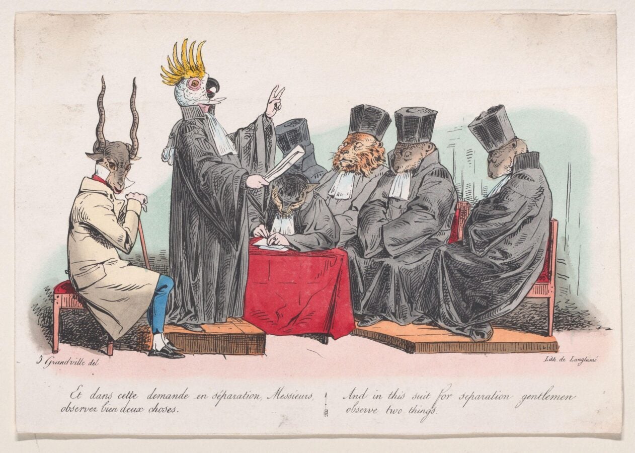 Color lithograph satire of a courtroom: animal-headed lawyers in robes, a cockatoo-headed advocate addresses a goat-headed client.