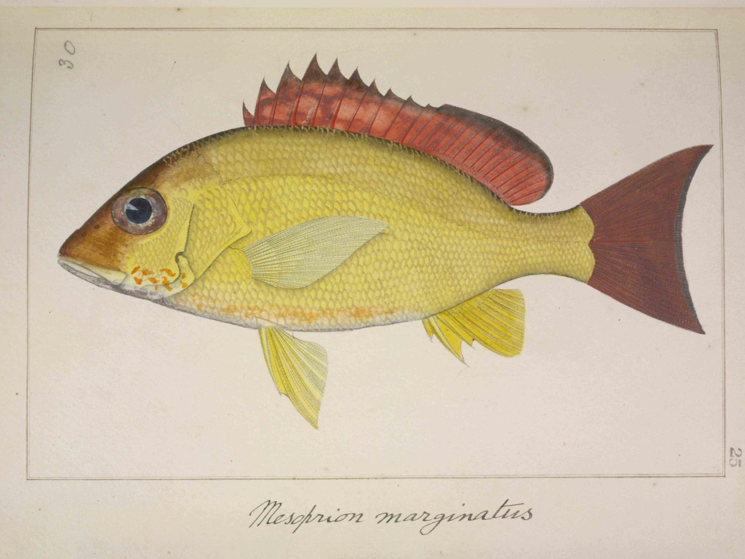 Monthly wrap-up: December’s shared collections and audio-visual finds