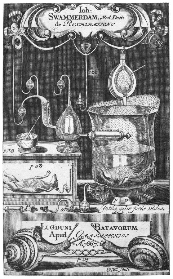 An intricate black-and-white engraving titled De Respiratione. The image features a collection of scientific apparatus and tools used for studying respiration, including glass vessels, tubes, and bellows, arranged with precision. A dissected animal is depicted in the lower section, illustrating experimental procedures. The artwork includes detailed decorative elements and Latin inscriptions, reflecting the scientific and artistic sensibilities of the period. The engraving demonstrates a historical approach to respiratory studies.