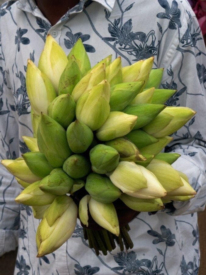 A person holding a large bouquet of closed white and green lotus buds, offered for worship at a Buddhist stupa.
(Photograph by Alex Majoli, Magnum Photos.)