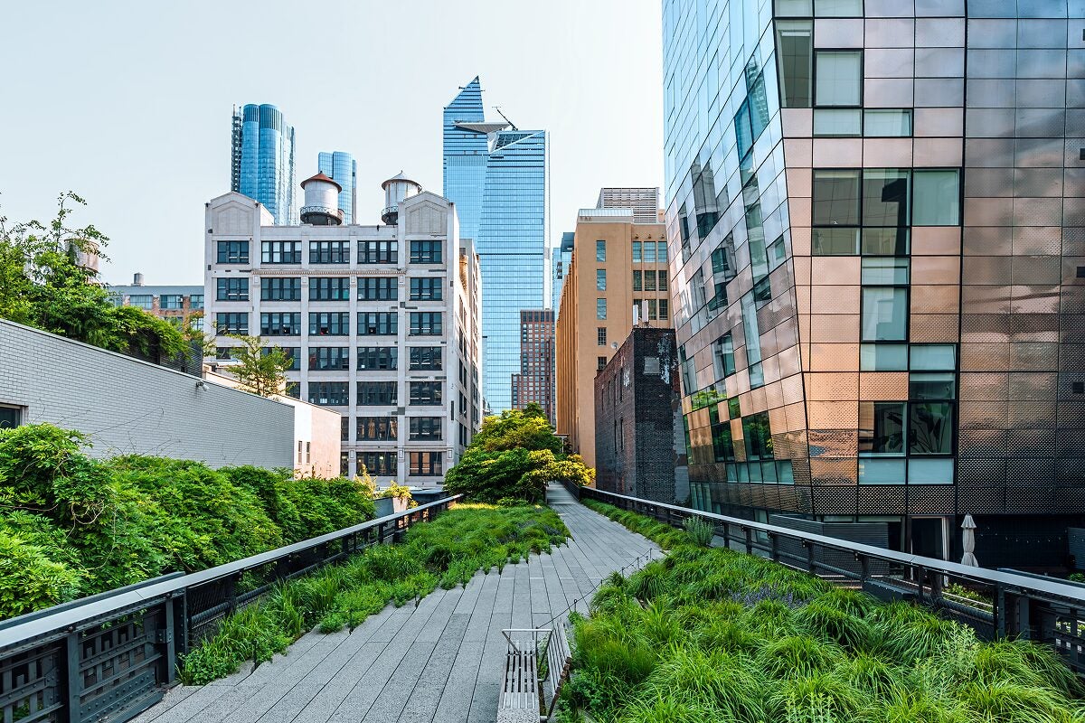 Advance global sustainability through SDG-aligned scholarship