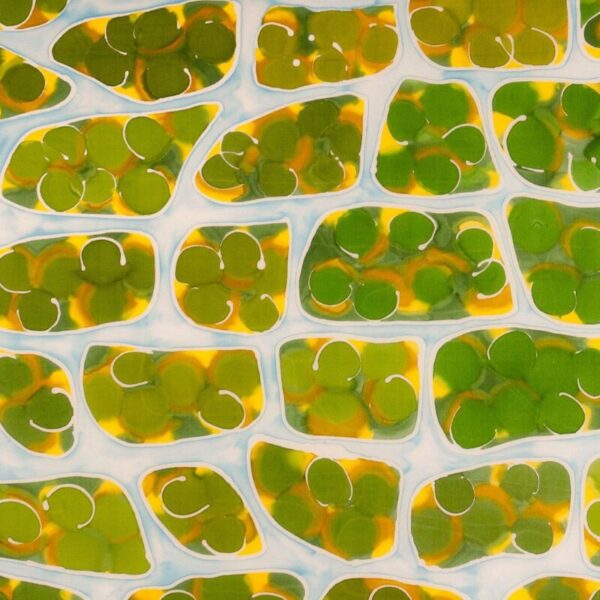 A colorful abstract pattern resembling clustered green and yellow cells outlined in white against a pale blue background.