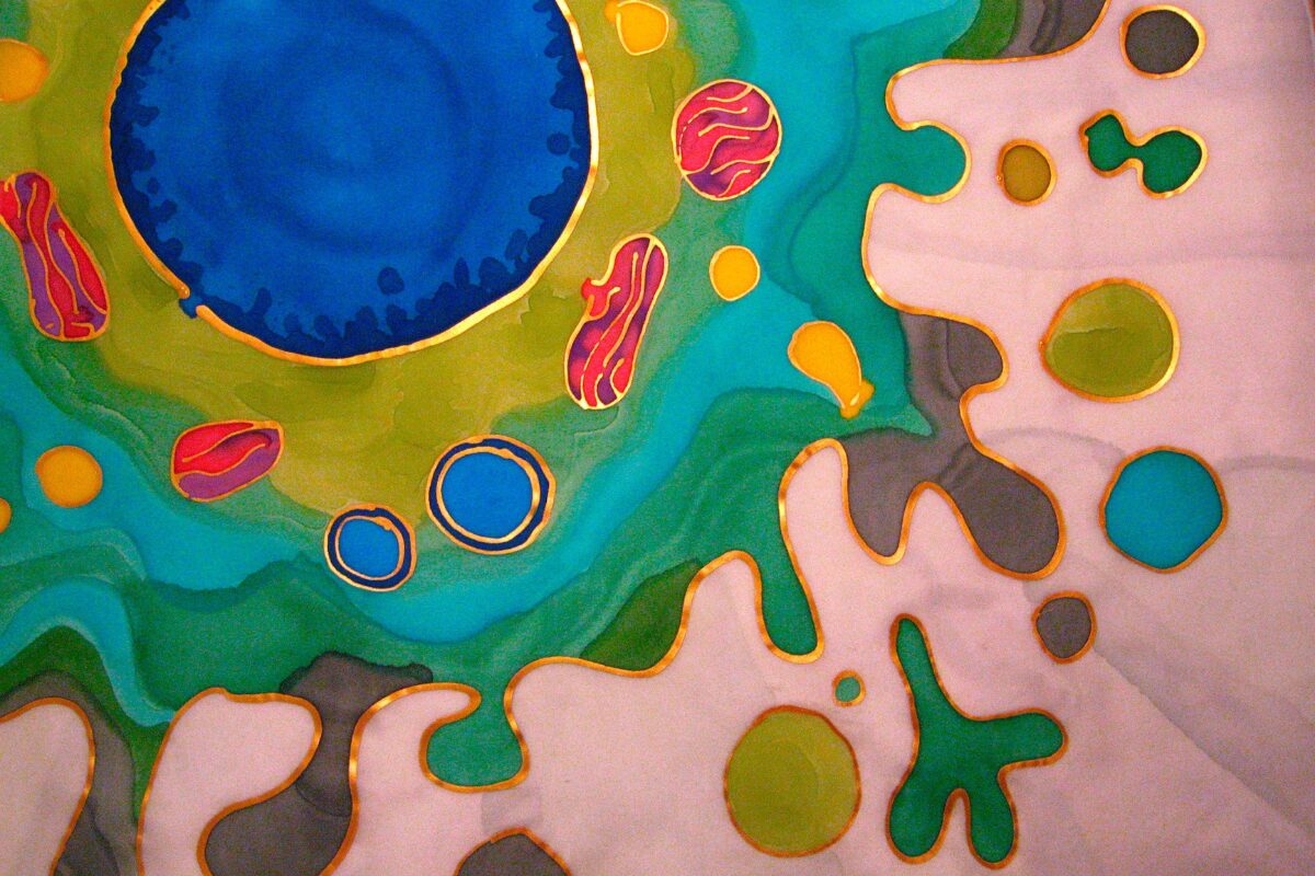 AI research tool promotional toolkit