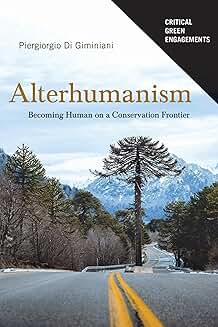 Book cover featuring a road leading toward snow-covered mountains and tall Araucaria trees under a clear sky. Title text overlays the image with a small black label reading “Critical Green Engagements.”